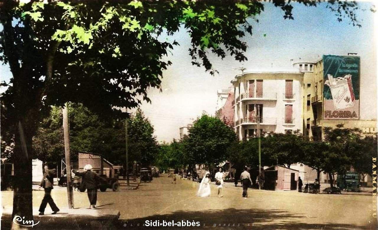 Sidi bel abbes 803.jpg